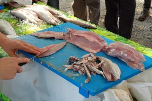 Un progetto dedicato al pesce di acqua dolce tra gastronomia, educazione e sostenibilit&agrave;