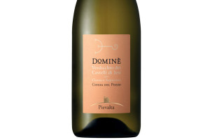 Pievalta, Doc Verdicchio dei Castelli di Jesi Classico Superiore Dominè Chiesa del Pozzo 2018