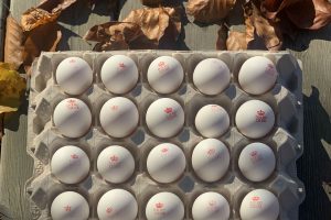 Uova da Gallina Livornese