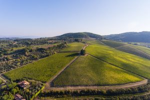 Nasce il “Comitato Historical Super Tuscans”, con 16 big dal territorio del Chianti Classico
