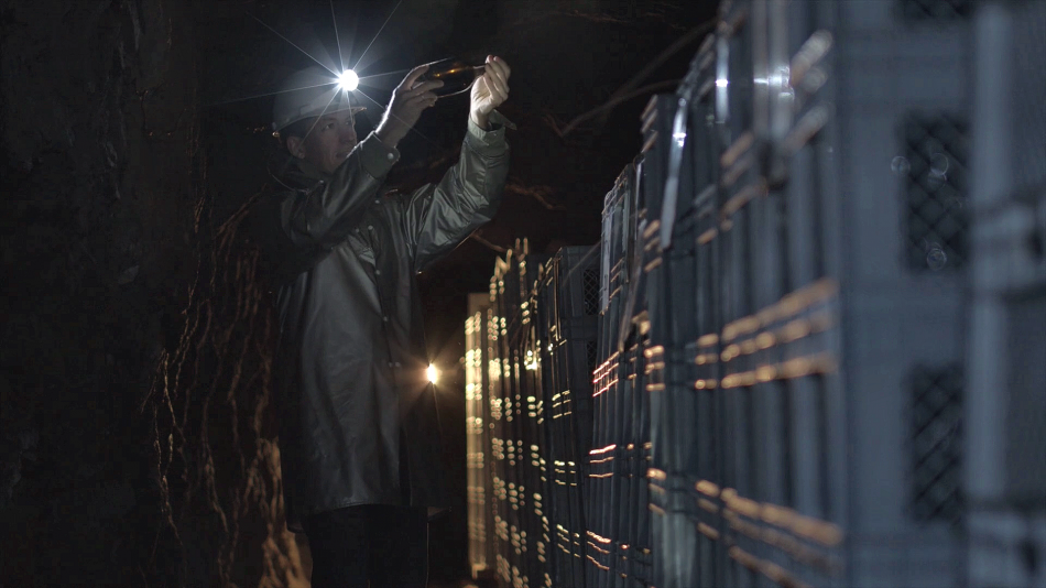 La cantina Tramin in Alto Adige