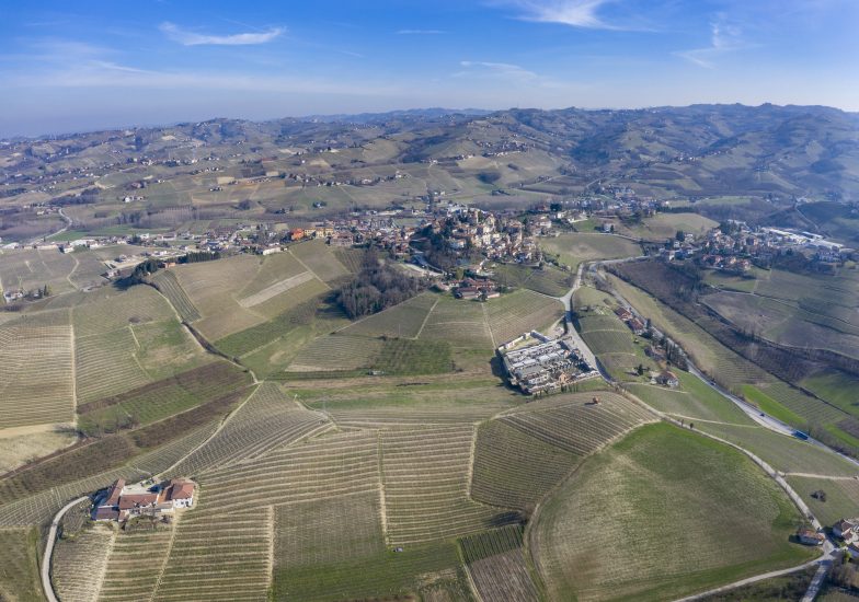 Il vigneto Gallina di Neive, nel Barbaresco, di Ceretto
