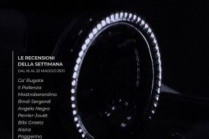 I Vini di WineNews - N. 154