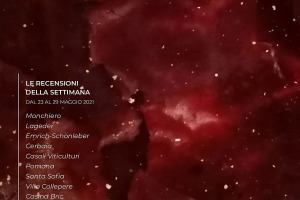 I Vini di WineNews - N. 155