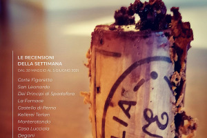 I Vini di WineNews - N. 156