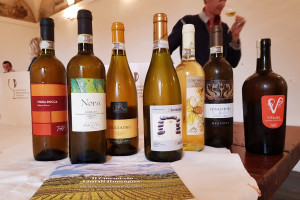 I migliori Albana di Romagna? Il “Vitalba” di Tre Monti e “Fondatori GP” di Merlotta