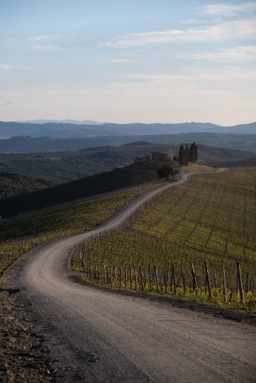 Le strade bianche ed i vigneti di Castiglion del Bosco