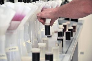 Macrowine: dalla vigna al bicchiere, il vino sotto la lente di scienziati ed esperti Macrowine: dalla vigna al bicchiere, il vino sotto la lente di scienziati ed esperti