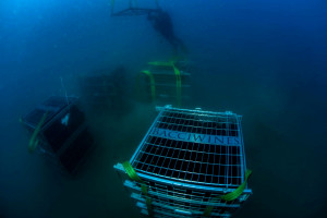 Il mare come cantina: affinare il vino sott'acqua è un metodo sempre più in voga Il mare come cantina: affinare il vino sott'acqua è un metodo sempre più in voga