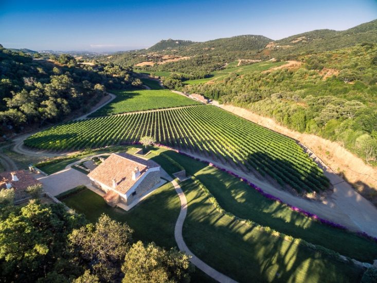  Siddura, cantina dell’Anno di “5StarWines - the Book 2022”