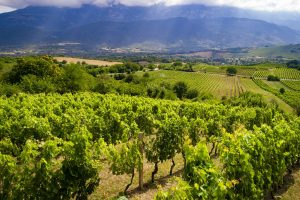 L’Abruzzo e i vini più “magici” d’Italia, voce narrante di un territorio che riparte dall’enoturismo