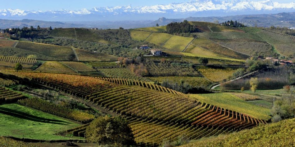 Dai vigneti del Piemonte nasce la nuova Docg Terre Alfieri