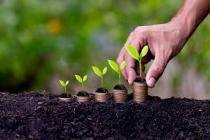 Agricoltori/Cia: &ldquo;Pnrr, con il via libera Ue, fase nuova con agricoltura e aree rurali al centro&rdquo;