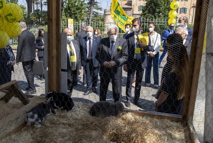 Il Presidente della Repubblica Sergio Mattarella: “educazione alimentare fondamentale per il futuro”