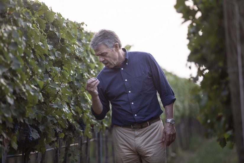 L’ad e enologo della Marchesi Antinori, Renzo Cotarella