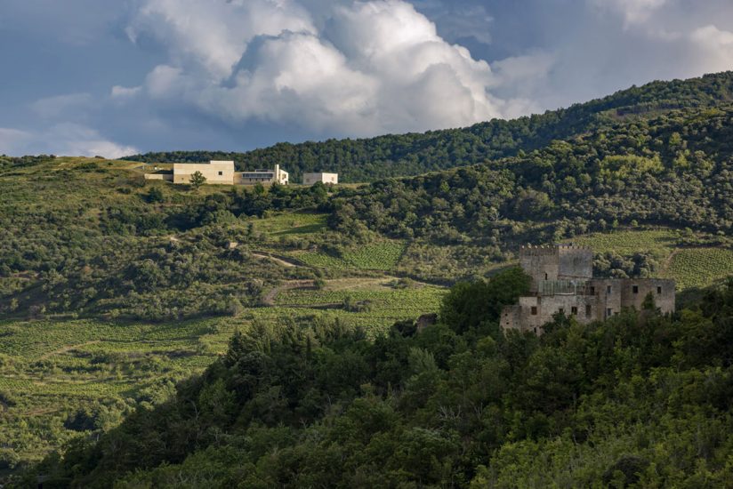 Descendientes de J. Palacios