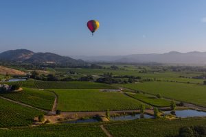 Napa dice sì al gemellaggio con Montalcino, nel segno del vino e del paesaggio
