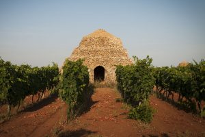 Rilanciarsi come “brand” a partire da un click, mettendo assieme tutto il “PugliaGoodWorld”