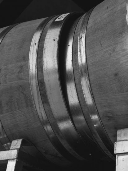 Lo scatto di Giacomo Alberico per Zenato Academy