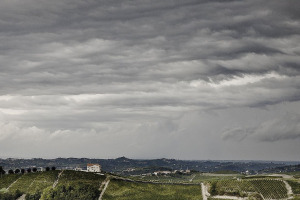 I Quaderni di WineNews - La Barbera d'Asti