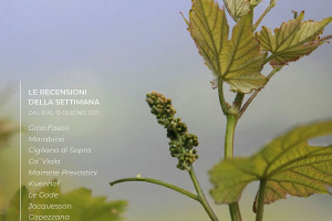 I Vini di WineNews - N. 157