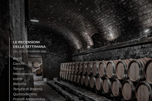 I Vini di WineNews - N. 158