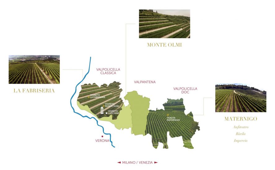 La mappa aromatica dei cru di Tedeschi