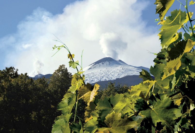 I vigneti sull’Etna di Firriato