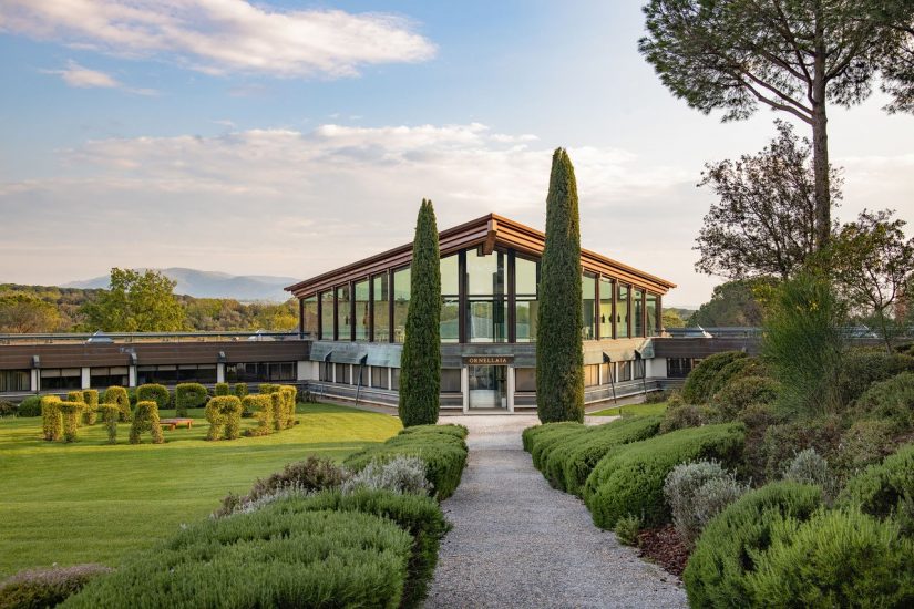 Il nuovo Aquilone della Tenuta dell’Ornellaia