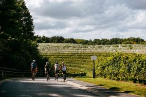 Il trend che spopola nel turismo del vino? “Bike&Wine”, pedalando tra i vigneti italiani più famosi