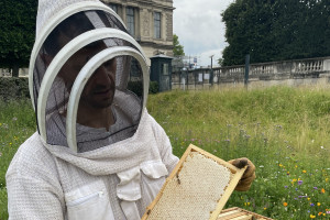 Non solo arte e bellezza: al Louvre si produce anche miele. Da Parigi un gesto di amore per le api