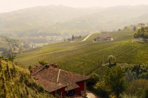 La sostenibilità certificata conta, anche per i big: Martini & Rossi (Bacardi) sceglie Equalitas