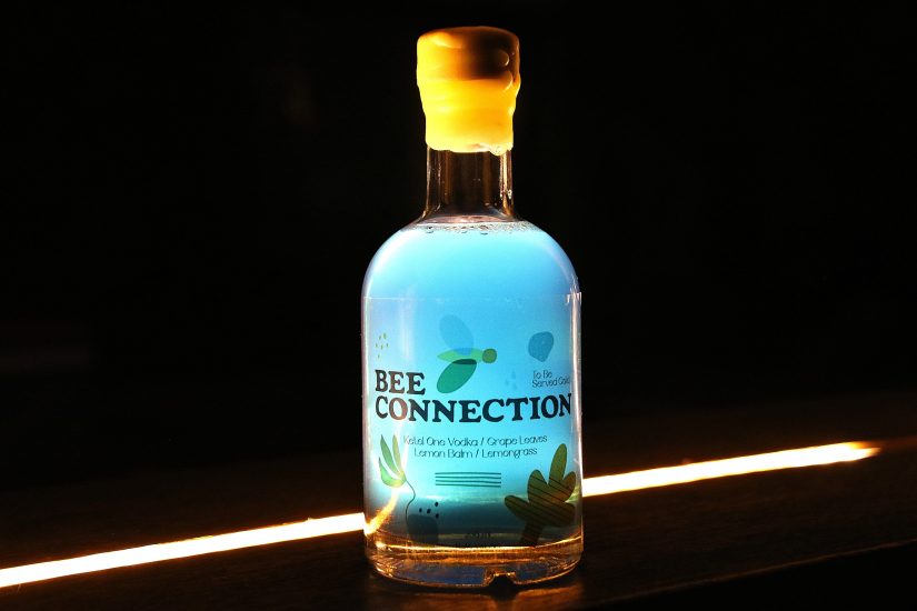 Il progetto BeeConnection