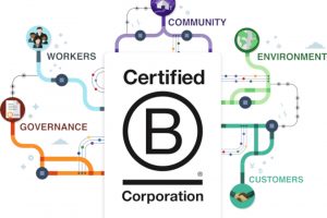 Etica unita al profitto: la filiera del vino e dell’agroalimentare nel trend delle “società benefit”