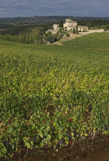 Il Chianti Classico punta l’Unesco