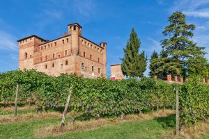 “Barolo en Primeur”, a charity contest with 15 barrels, under the Christie’s hammer “Barolo en Primeur”, a charity contest with 15 barrels, under the Christie’s hammer