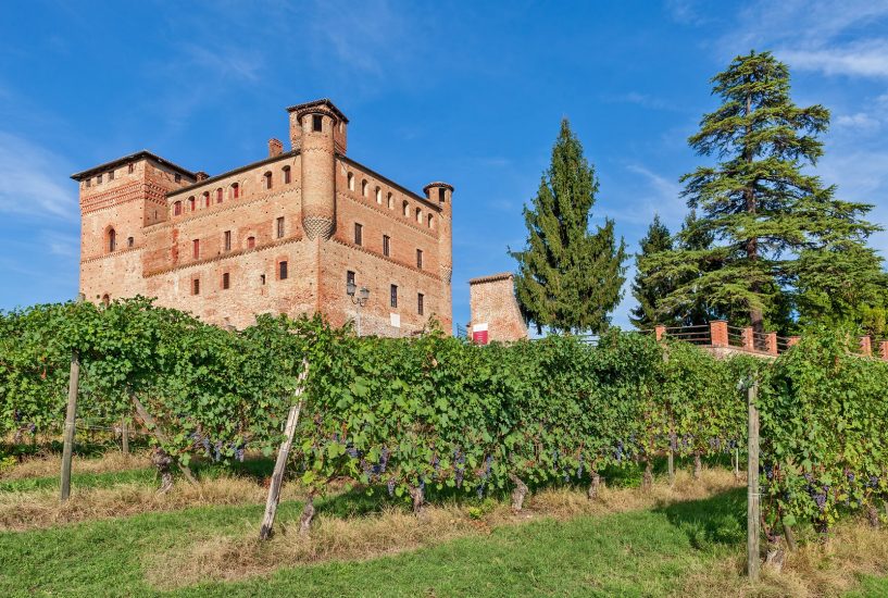 Il vigneto Gustava sotto il Castello di Grinzane Cavour