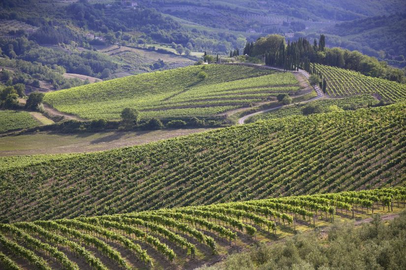 Il Chianti Classico punta l’Unesco