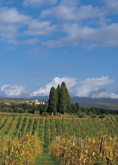 Il Chianti Classico punta l’Unesco