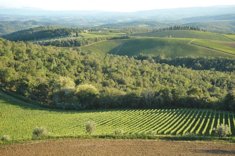 Il Chianti Classico punta l’Unesco