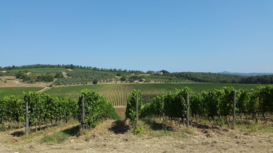 The “Cultural Landscape of Chianti Classico” takes its first steps ...