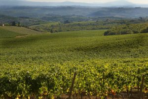Il “Paesaggio culturale del Chianti Classico” muove i primi passi verso l’Unesco