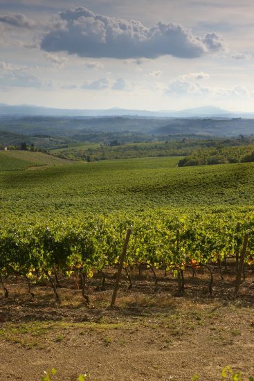 Chianti Classico da Brolio