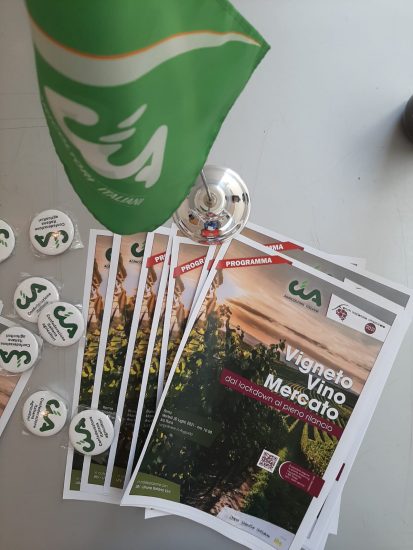 Dal vigneto allo scaffale, le mille sfide per il vino italiano. Ben oltre la pandemia