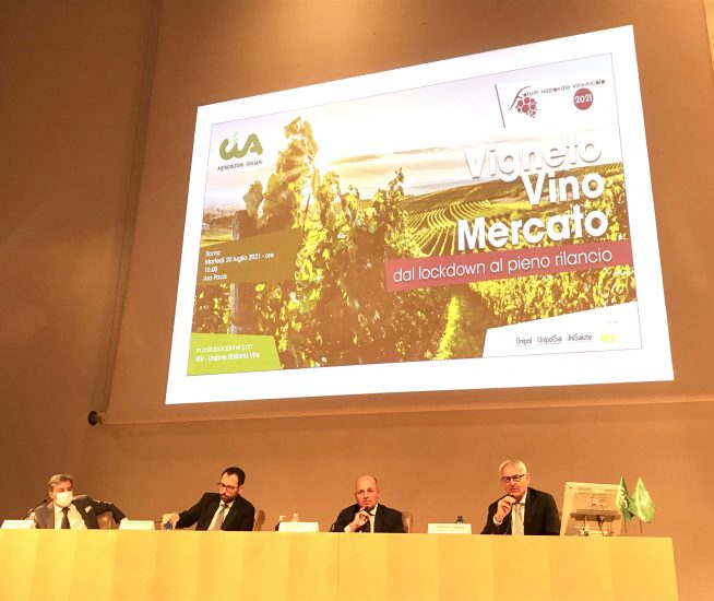 Dal vigneto allo scaffale, le mille sfide per il vino italiano. Ben oltre la pandemia