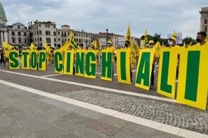 Emergenza cinghiali, le regioni sono nel mirino. Coldiretti: &ldquo;allungare il calendario venatorio&rdquo;