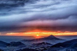 Cantina Colli Euganei, 130.000 euro per la ricerca dell’Università di Padova sul Coronavirus