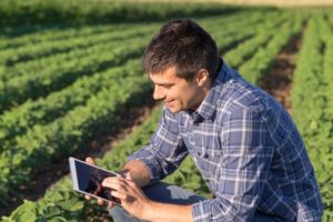 La qualifica dell&rsquo;imprenditore agricolo professionale varr&agrave; sull&rsquo;intero territorio nazionale