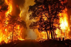 Mediterraneo, con l'aumento delle temperature medie sopra i 2 gradi è l'inferno