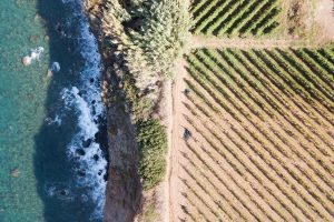 È tempo di Festival, dal primo “Cigognola Summer Festival” allo storico “Jazz & Wine in Montalcino”